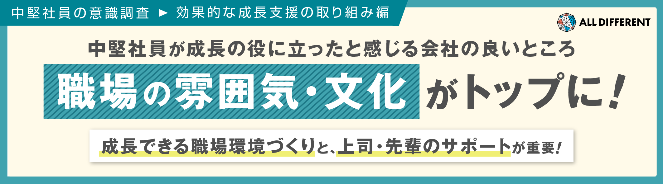 調査・研究