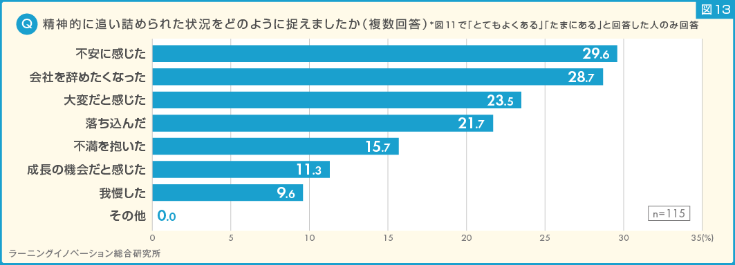 (図13) 