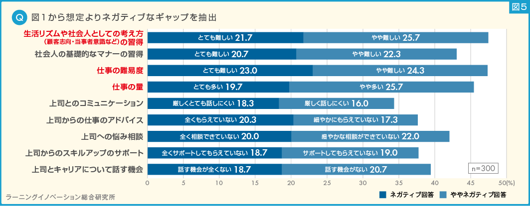 (図5) 