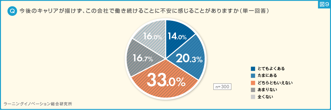 (図9) 