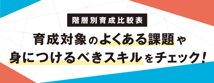 階層別育成比較表