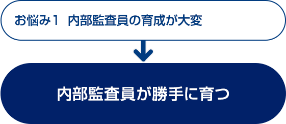 お悩み1　内部監査員の育成が大変→内部監査員が勝手に育つ｜ISO動画パック