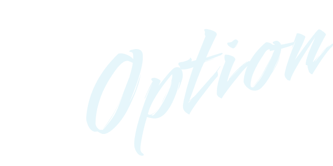 Option