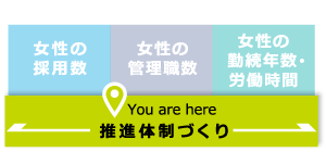 女性の採用数、女性の管理職数、女性の勤続年数・労働時間＋推進体制づくり（you are here）｜3つの観点に共通！推進体制づくり｜女性活躍推進｜人材育成・社員研修_5